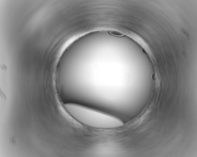 X0000091230958200708091111