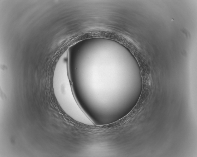 X0000091230965200708091110