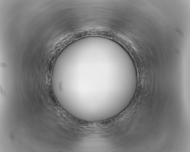 X0000091230966200708091110