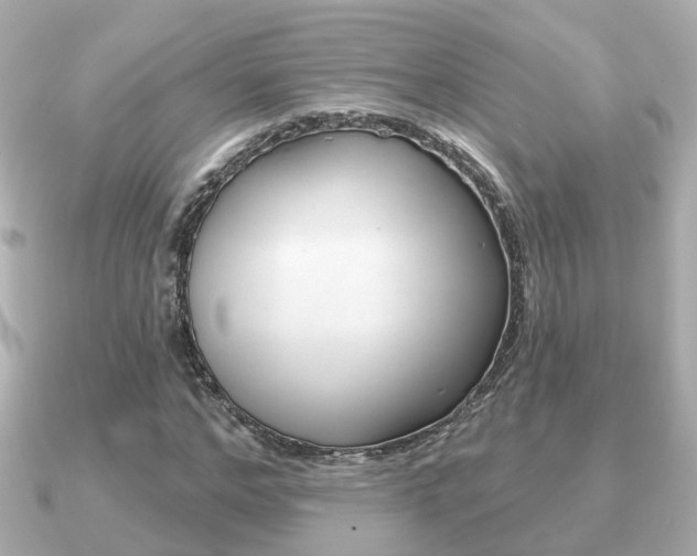 X0000091230968200708091110