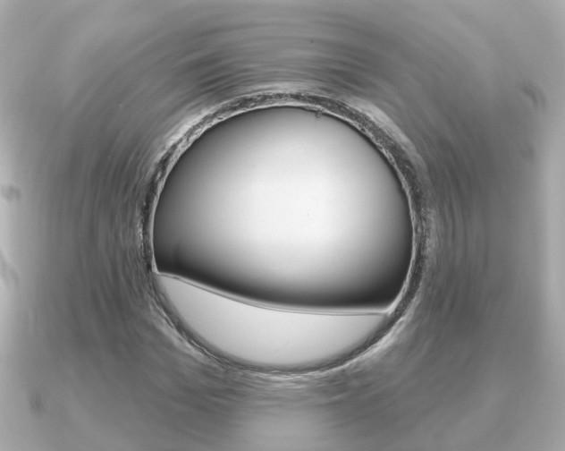 X0000091230969200708091110