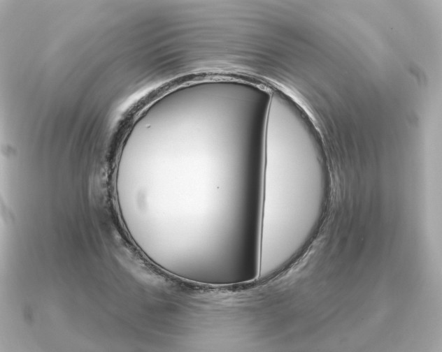 X0000091230971200708091110
