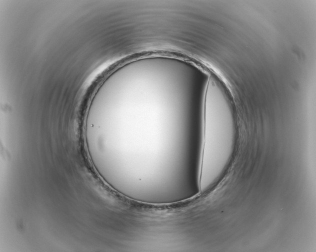 X0000091230975200708091110