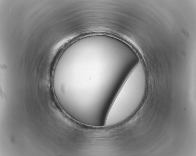 X0000091230979200708091110