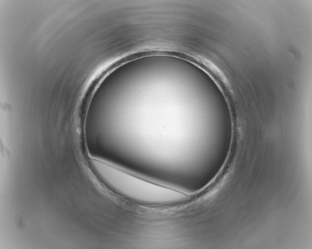 X0000091230981200708091110