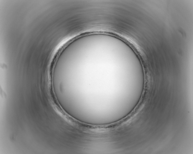 X0000091230982200708091110