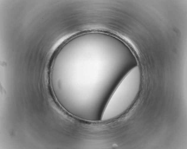 X0000091230983200708091110