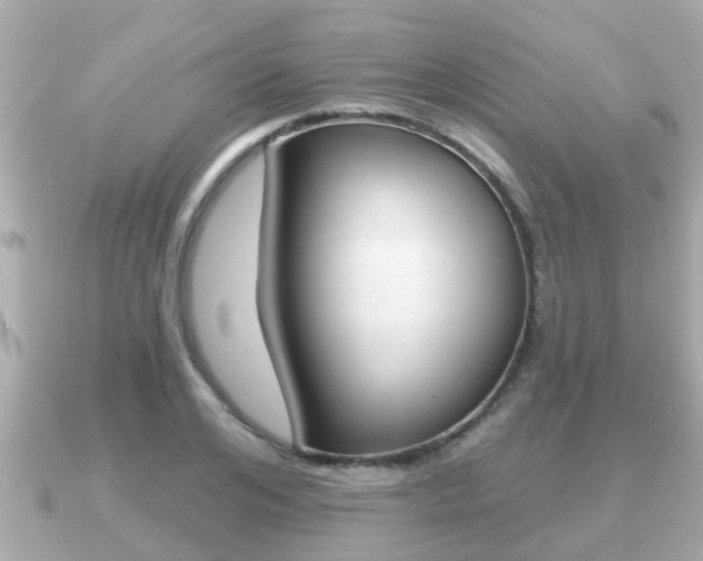 X0000091230984200708091110