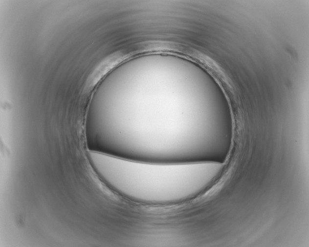 X0000091230985200708091110