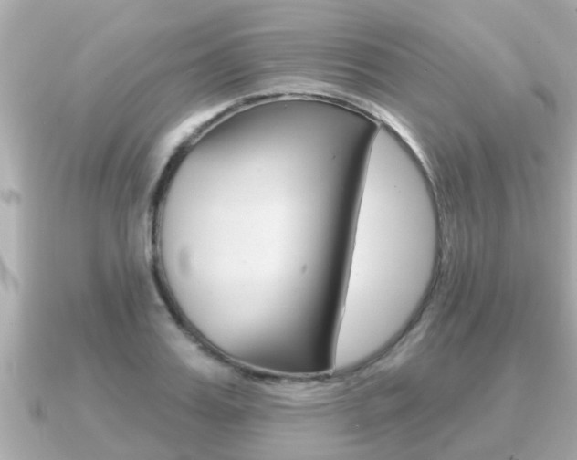 X0000091230987200708091110