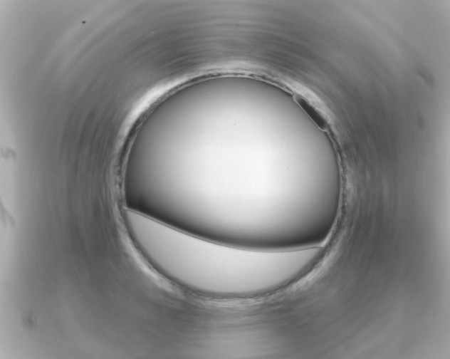X0000091230989200708091110