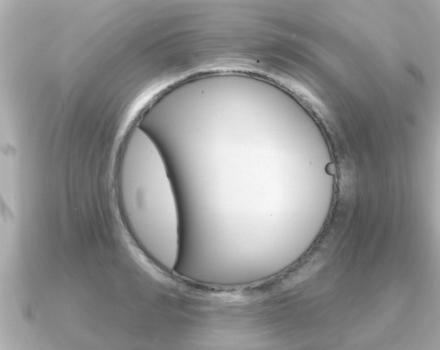 X0000091230990200708091110