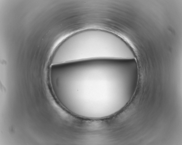 X0000091230991200708091110
