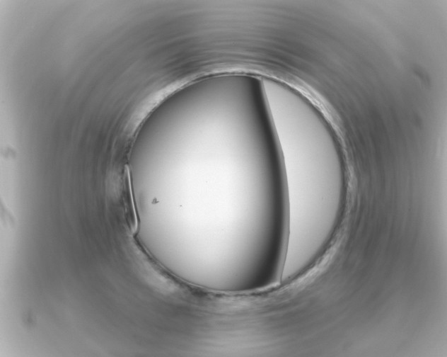 X0000091230993200708091110