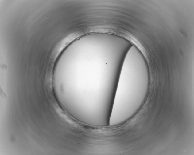 X0000091230994200708091110
