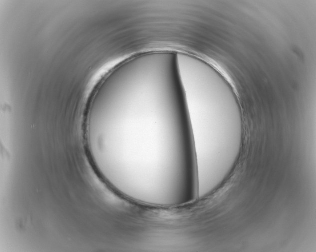 X0000091230995200708091110