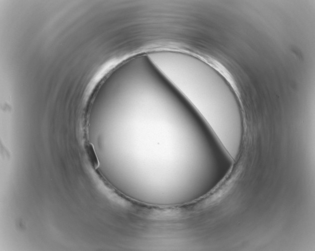 X0000091230997200708091110