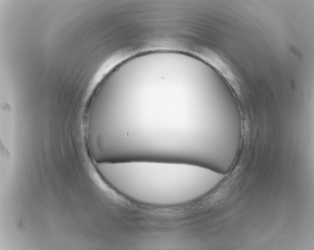 X0000091230998200708091110
