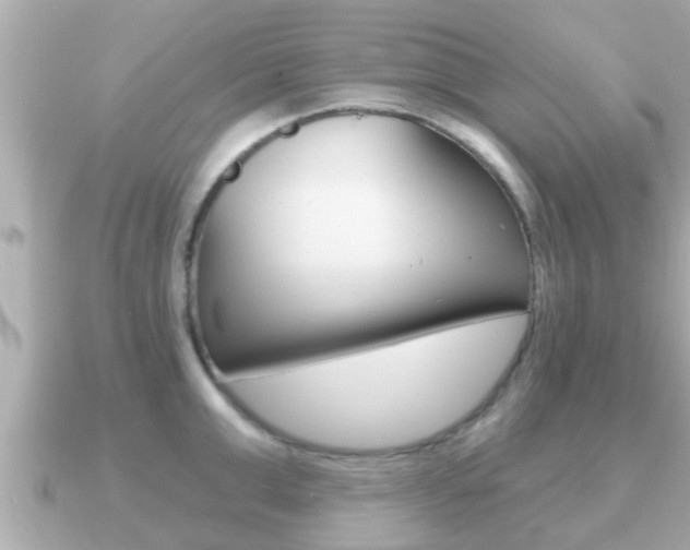 X0000091230999200708091110