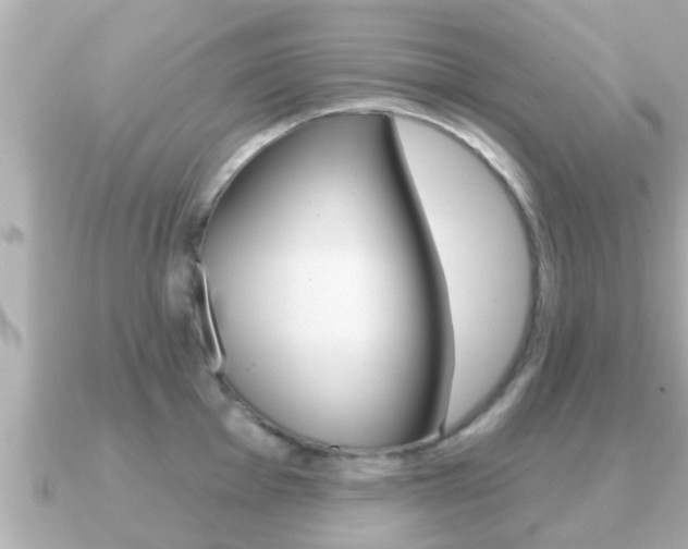 X0000091231001200708091110