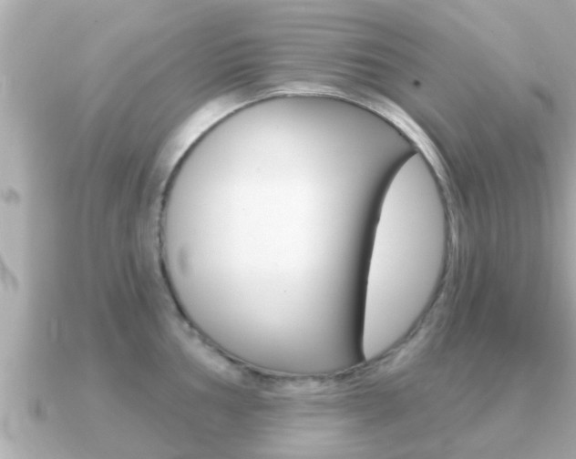 X0000091231002200708091110