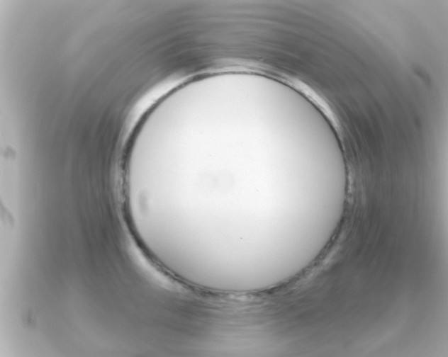 X0000091231003200708091110