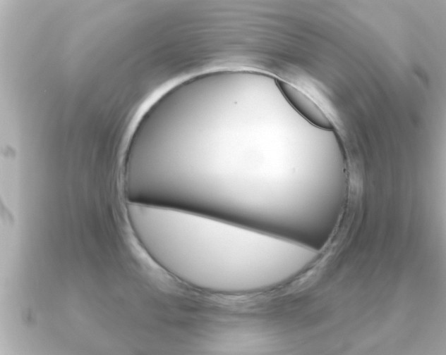 X0000091231004200708091110
