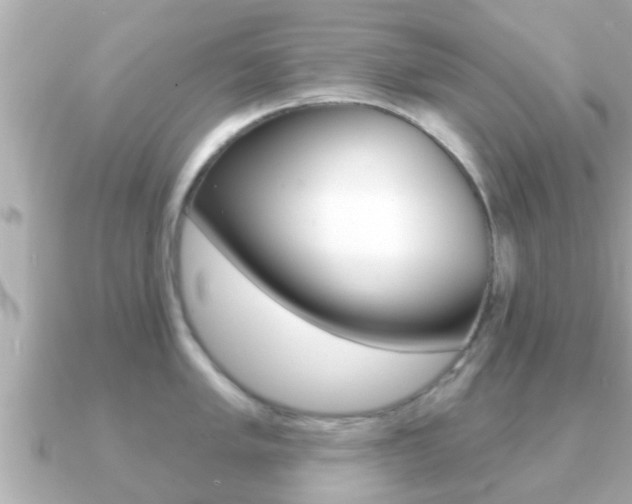 X0000091231005200708091110