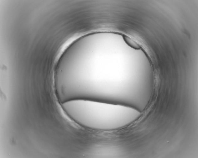 X0000091231006200708091110