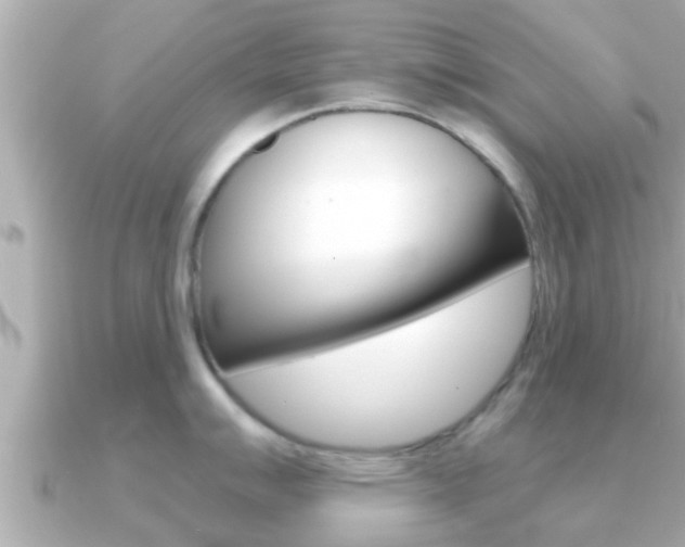 X0000091231007200708091110