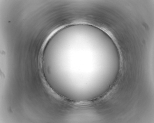 X0000091231008200708091110