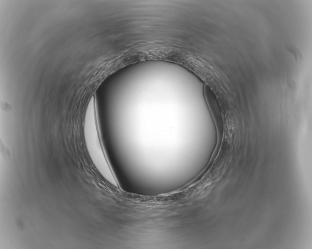 X0000091231010200708091109