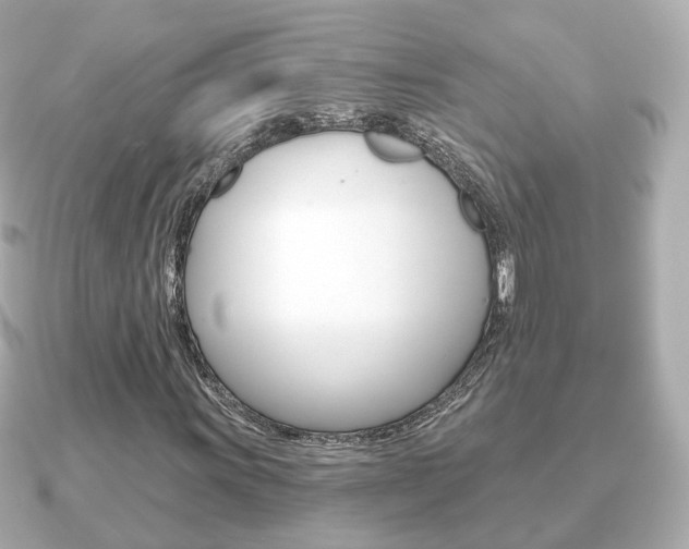 X0000091231011200708091109