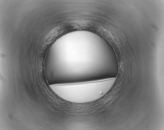 X0000091231012200708091109