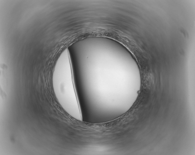 X0000091231013200708091109