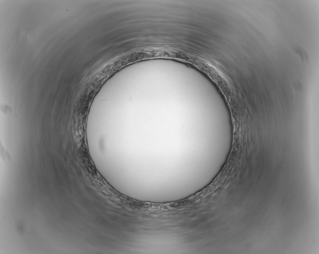 X0000091231015200708091109