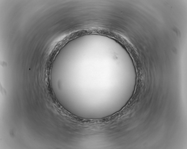 X0000091231016200708091109