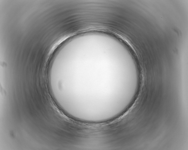X0000091231018200708091109