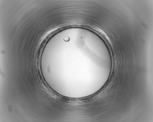 X0000091231019200708091109