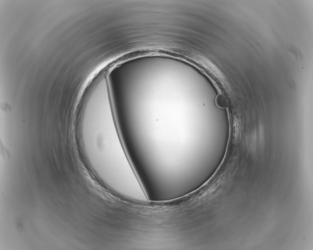X0000091231020200708091109