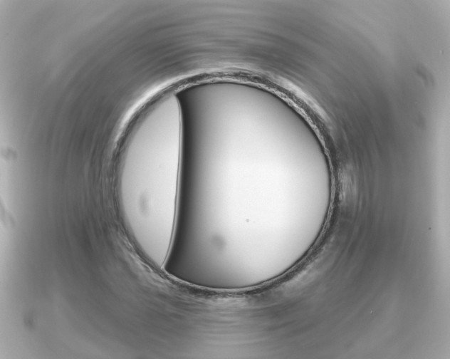 X0000091231021200708091109