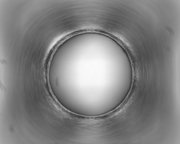X0000091231022200708091109