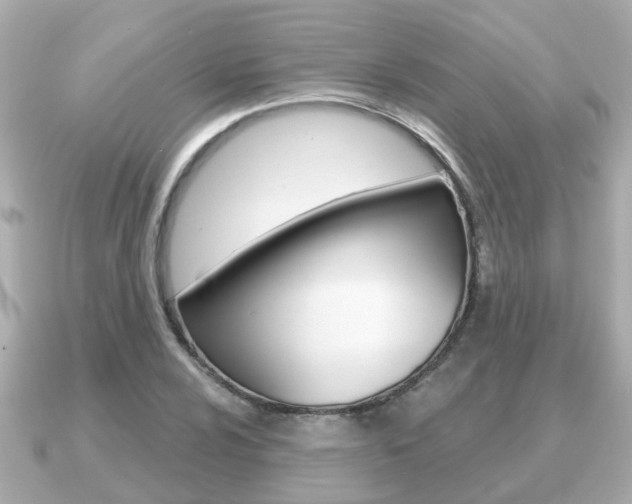X0000091231024200708091109