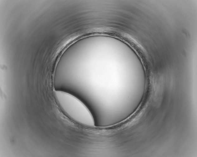 X0000091231025200708091109