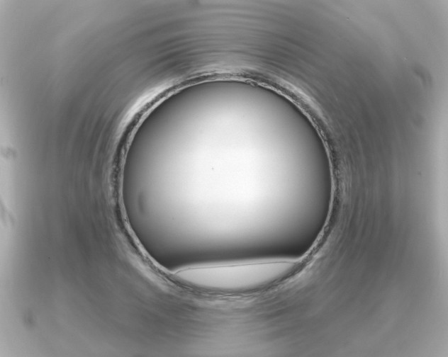 X0000091231026200708091110