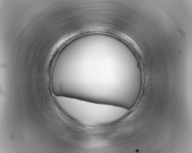X0000091231027200708091110