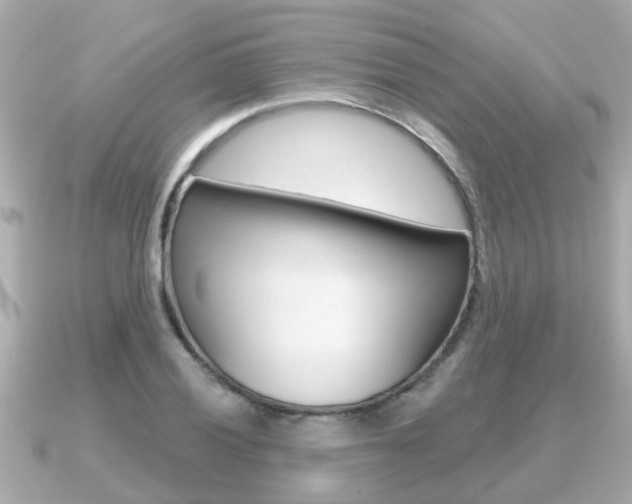 X0000091231028200708091110