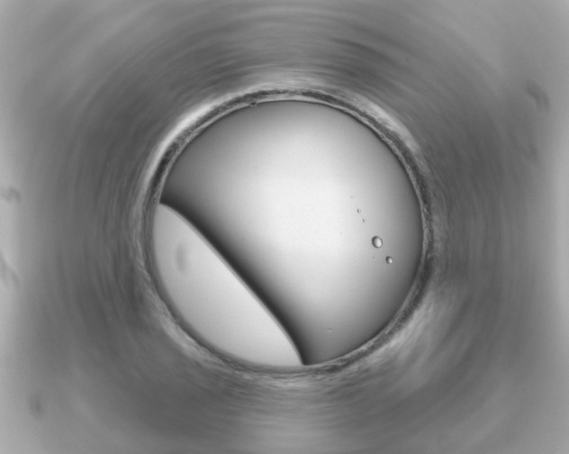 X0000091231029200708091110