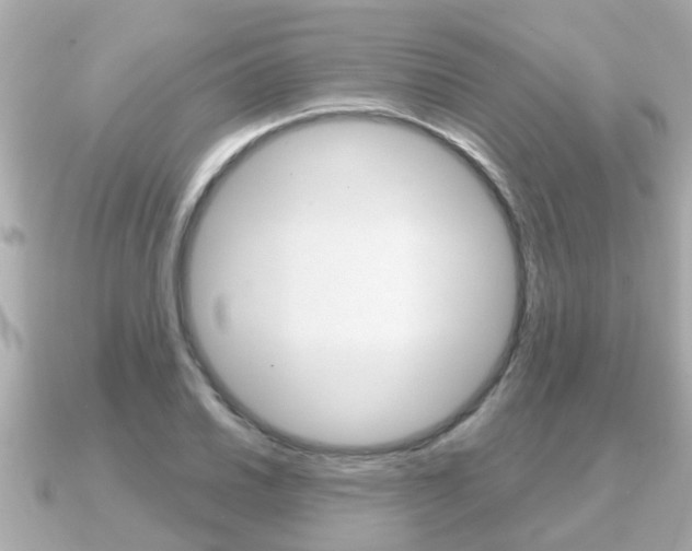 X0000091231030200708091110