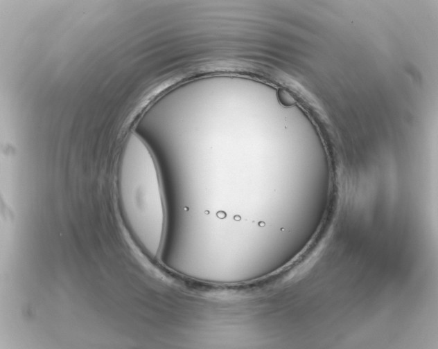 X0000091231033200708091110